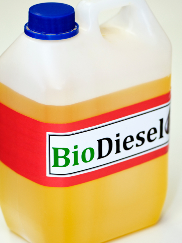 Biodiesel Sector Booms: Over 100 New Plants & Rs. 2,000 Crore Investment on the Horizon