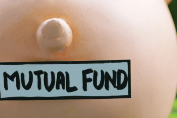 Stress Test on Mutual Funds